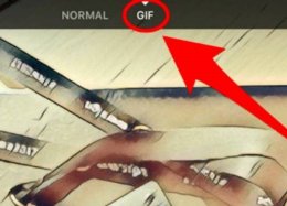 Facebook liberar criação de GIFs em seu aplicativo.